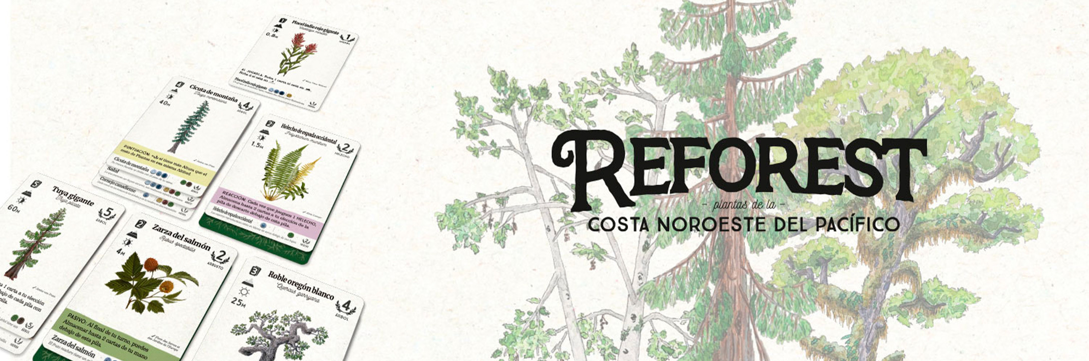Reforest